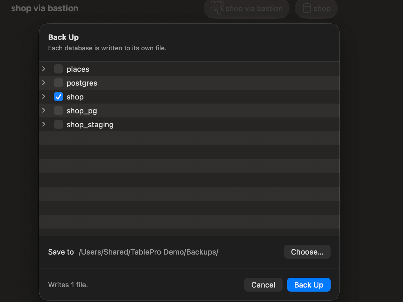 The Back Up sheet for a connection through an SSH bastion, with only the shop database selected.