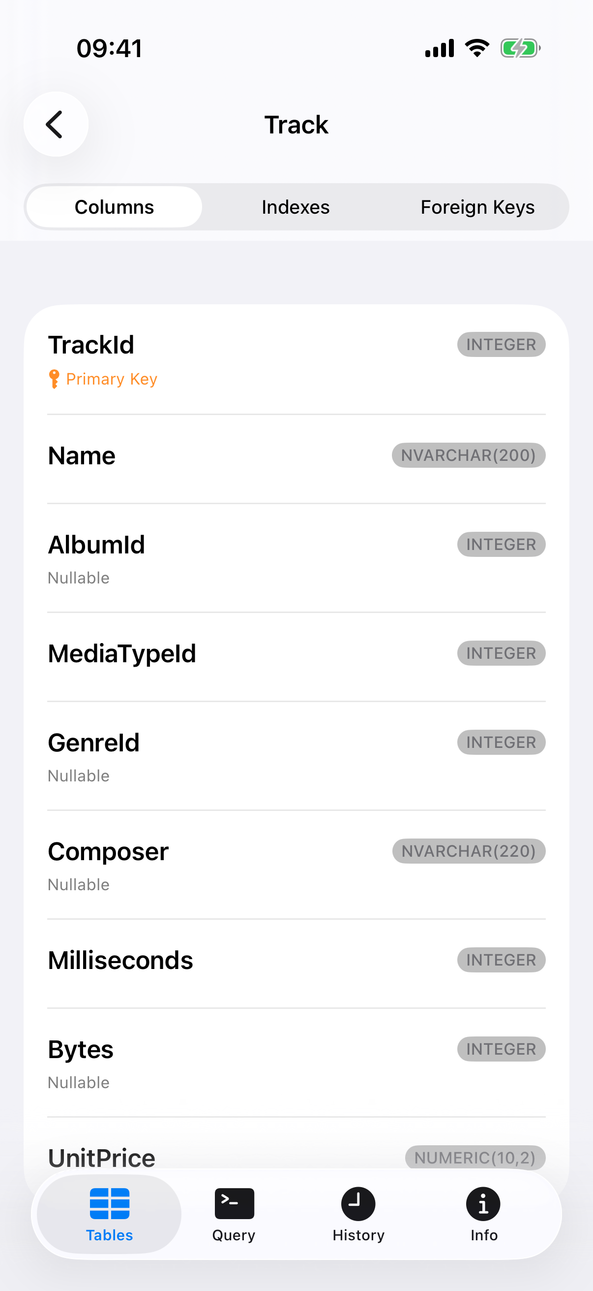 The Track table structure on iPhone, listing each column with its type.